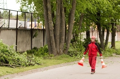 Pieredzes stāsts: atgriežas Latvijā un kopā ar dvīņubrāli iegūst profesiju