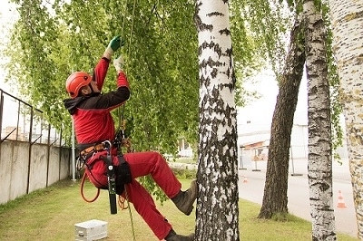 Pieredzes stāsts: atgriežas Latvijā un kopā ar dvīņubrāli iegūst profesiju