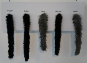 Latvija piedalās starptautiskajā projektu rezultātu izstādē „Baltic Expro 2012”