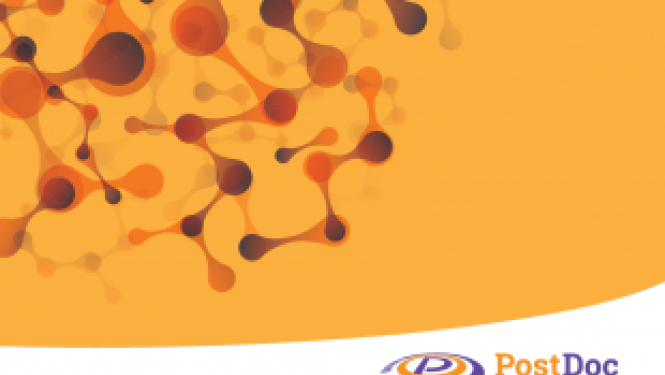 The second call for research applications under the activity “Post-doctoral Research Aid”