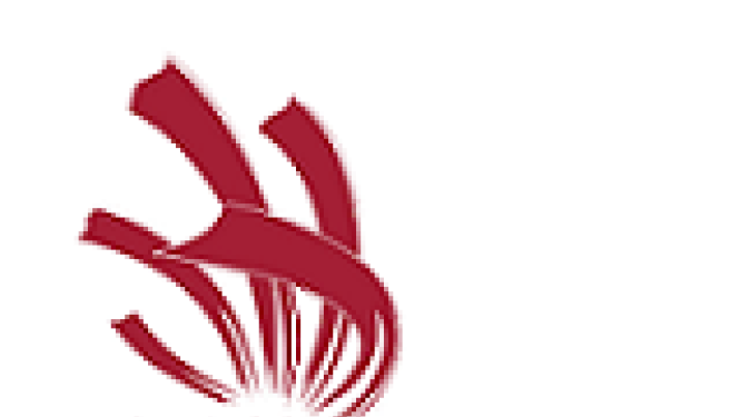 Are announced winners of the first Latvian national skills competition SkillsLatvia 2017