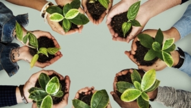 EK aicina paust viedokli par Eiropas Zaļā kursa projektu konkursa tematikām