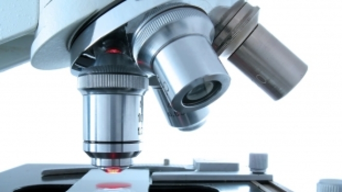 Aicinām apmeklēt semināru par Marijas Sklodovskas Kirī 2018. - 2020. gada programmu