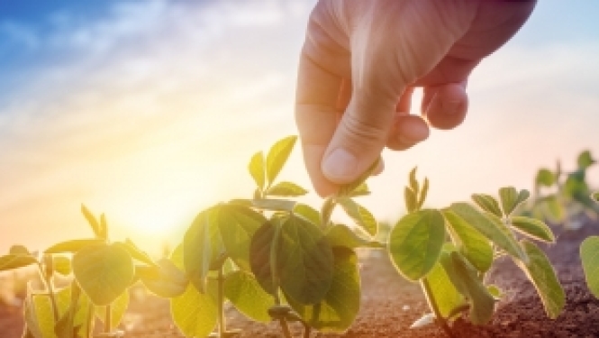 Briselē notiks Apvārsnis 2020 informācijas dienas par klimatu, vidi un resursiem