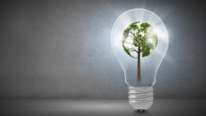 Oktobrī norisināsies Eiropas zaļā kursa projektu konkursam veltīta virtuālā kontaktbirža