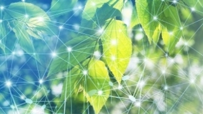 Norvēģijas finanšu instrumenta projekts atzīts par gada sasniegumu zinātnē