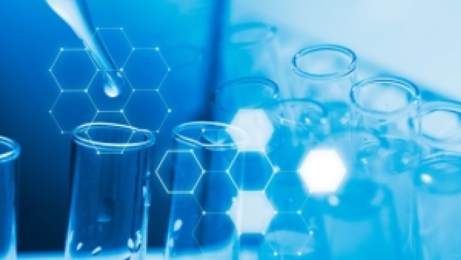 Radīta IMI2 virtuāla partneru platforma