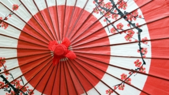 Izsludināts Japānas stipendijas 2018. gada konkurss vispārizglītojošo skolu pedagogiem