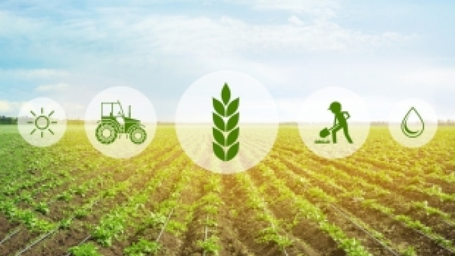 Noskaidros labākos jaunos profesionāļus lauksaimniecībā