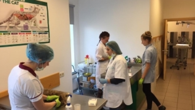 Smiltenes tehnikums izstrādā inovatīvas mācību metodes veterinārā izglītībā