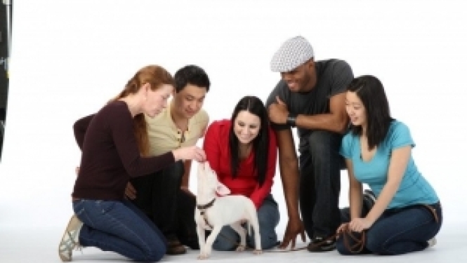 Aicinām pieteikties Erasmus+ starptautiskās sadarbības pasākumam Horvātijā