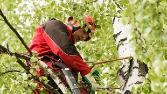 Pieredzes stāsts: atgriežas Latvijā un kopā ar dvīņubrāli iegūst profesiju