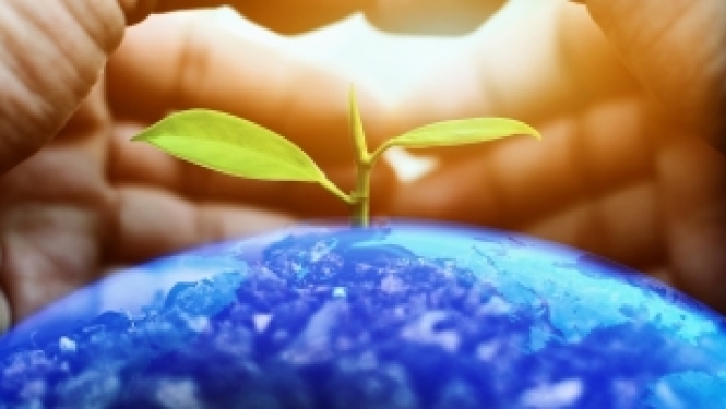 Briselē notiks ilgtspējīgai bioekonomikai veltīta konference