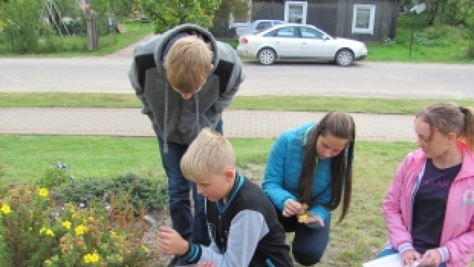 Nodarbības ārpus skolas pozitīvi ietekmē mācīšanos