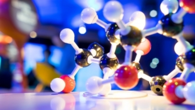 ERA-Net izsludina konkursu kardioloģijas pētījumu jomā