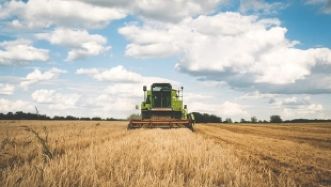 Aicinām zinātniekus pieteikt pētniecības projektus lauksaimniecības jomā