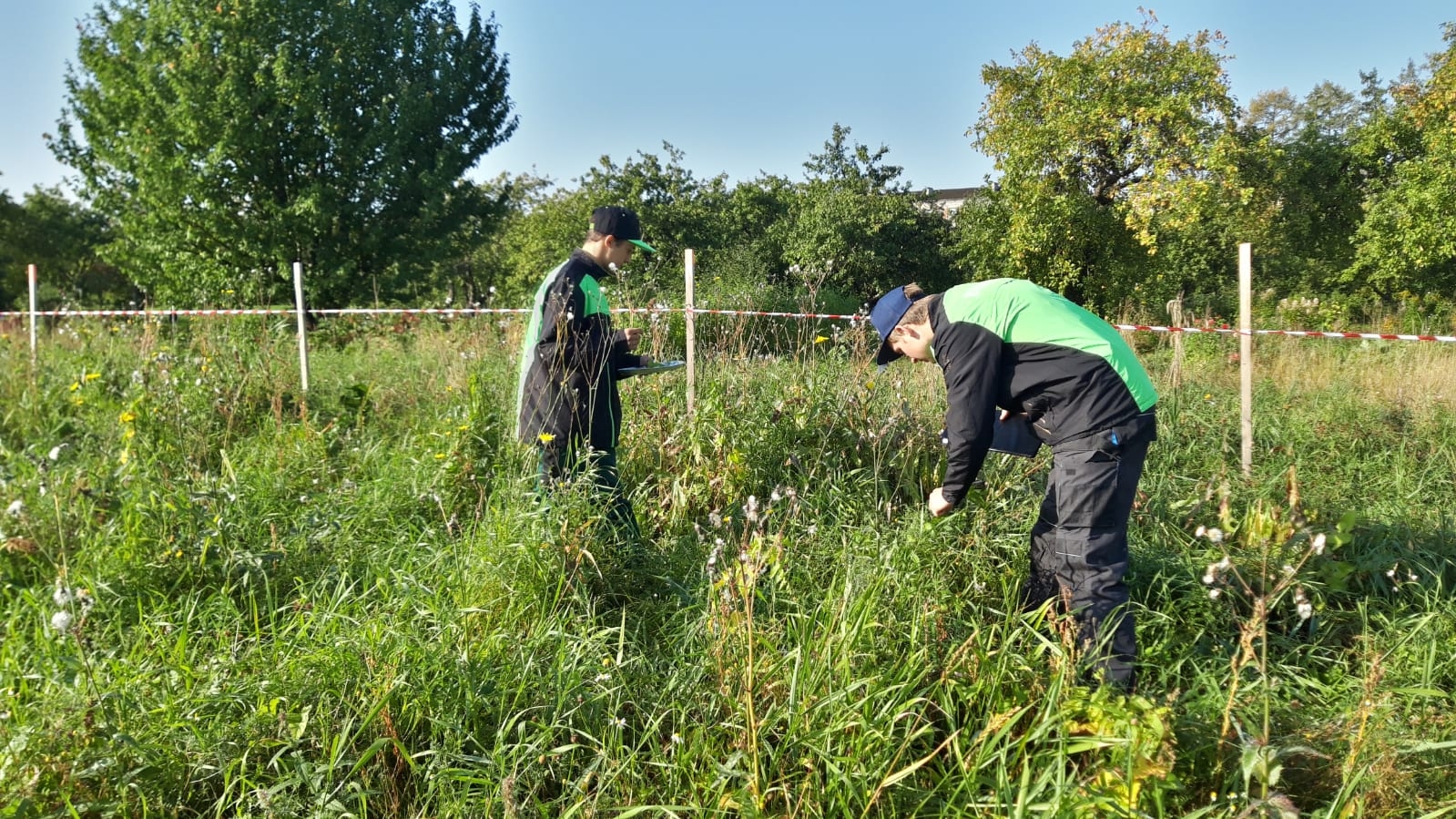 Nozares jauno profesionāļu meistarības konkursi "Augkopība" 2020