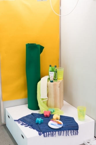 Fināla atlase skatlogu noformēšanā dalībai EuroSkills 2018