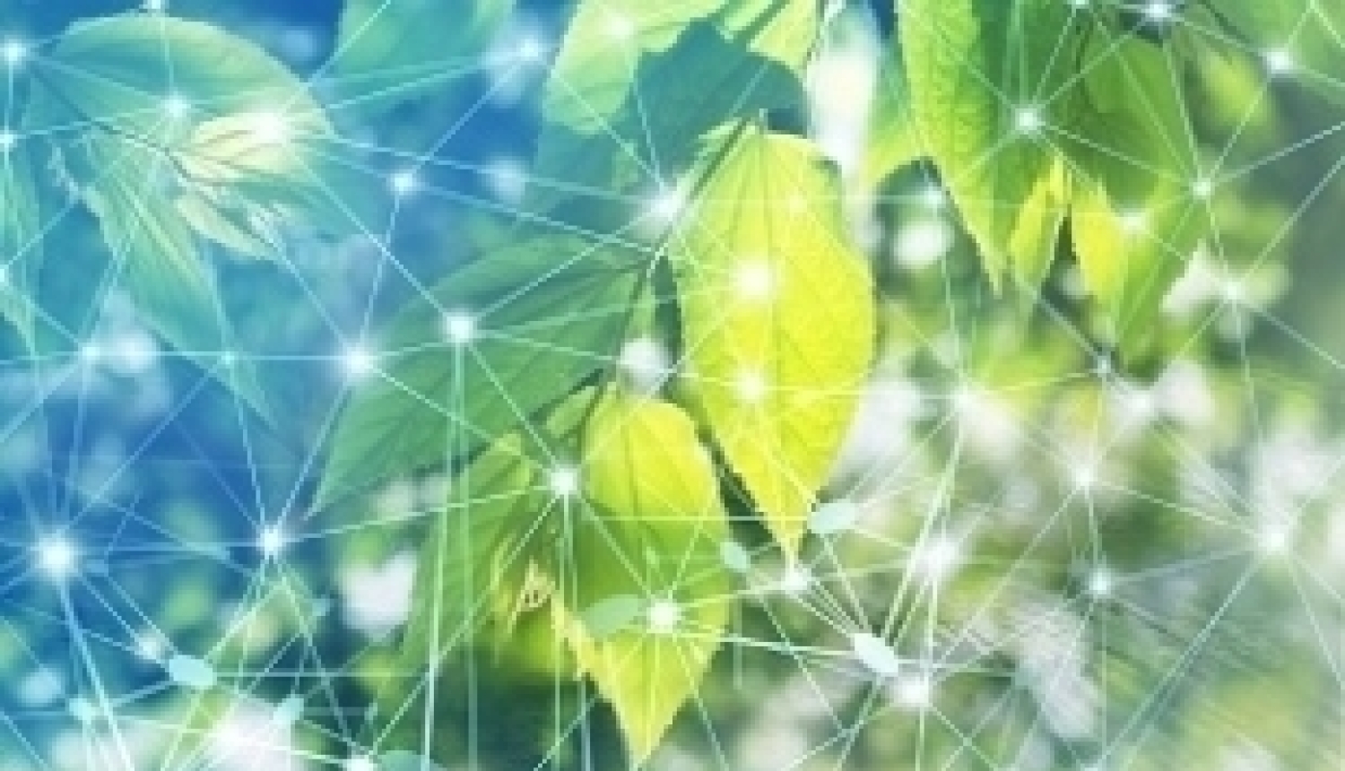 The Norway Grants research project scientists’ work recognized as the achievement in the science