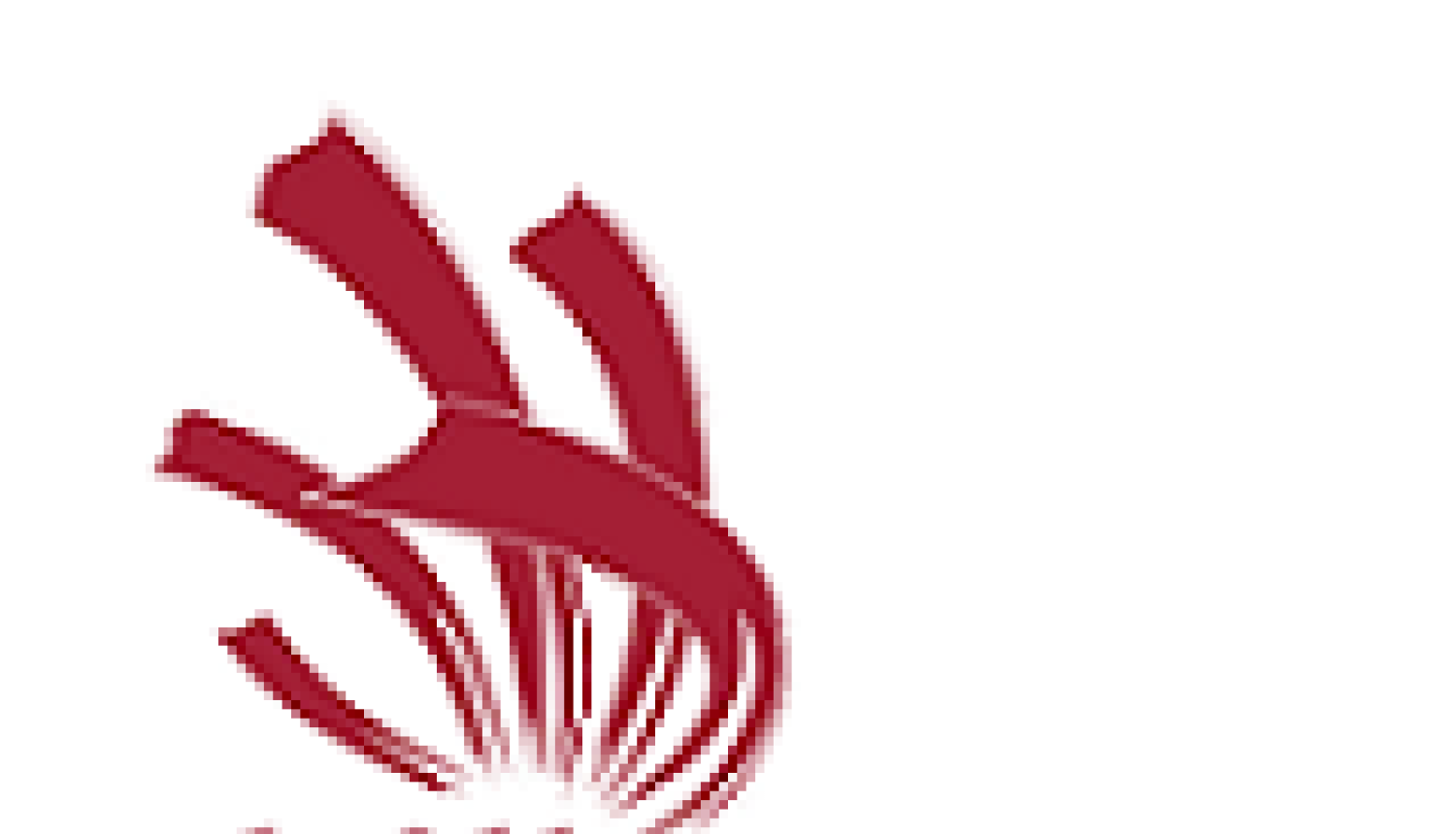 Are announced winners of the first Latvian national skills competition SkillsLatvia 2017