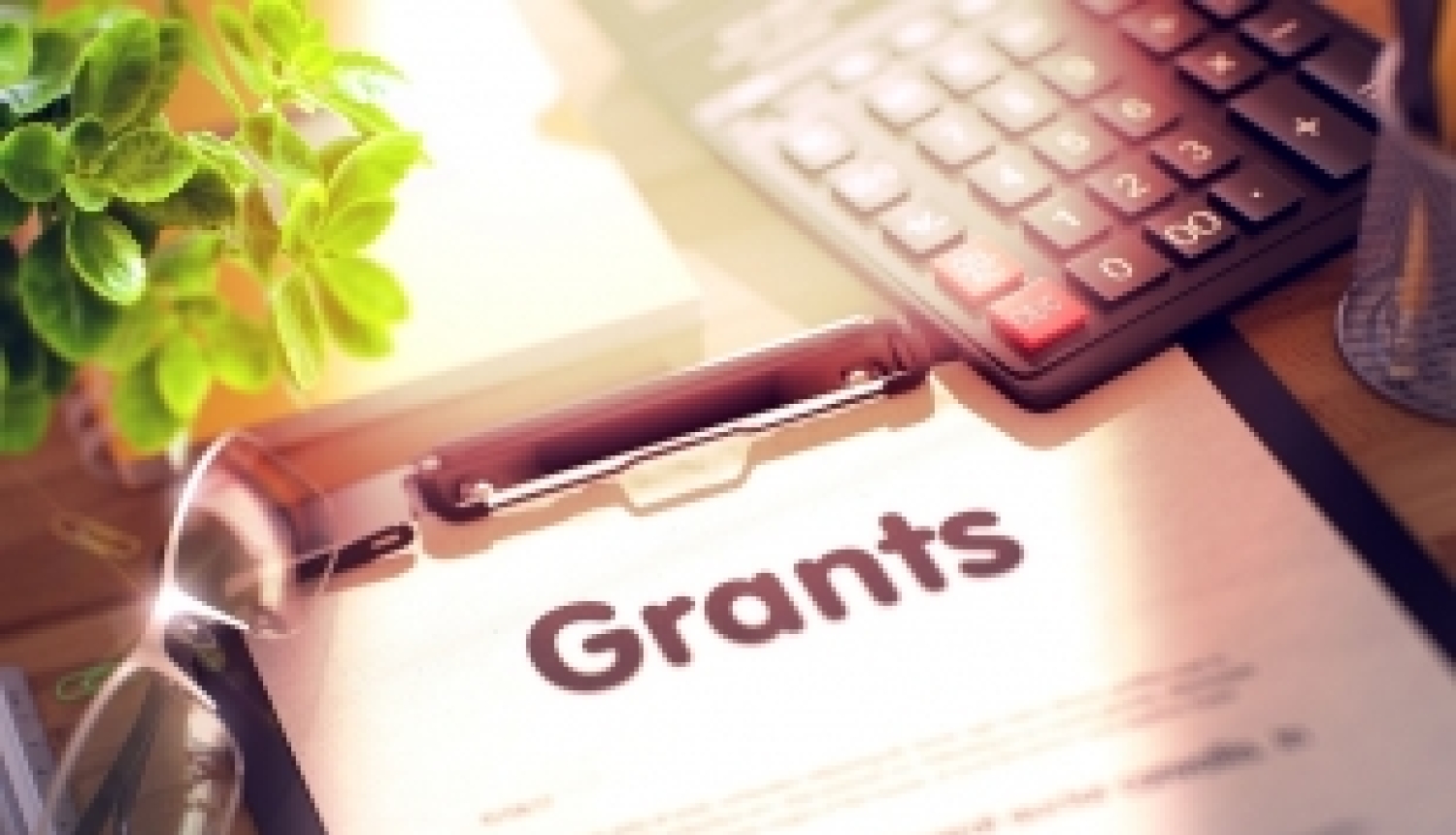 Iespēja iesniegt projektus Eiropas Pētniecības padomes programmās