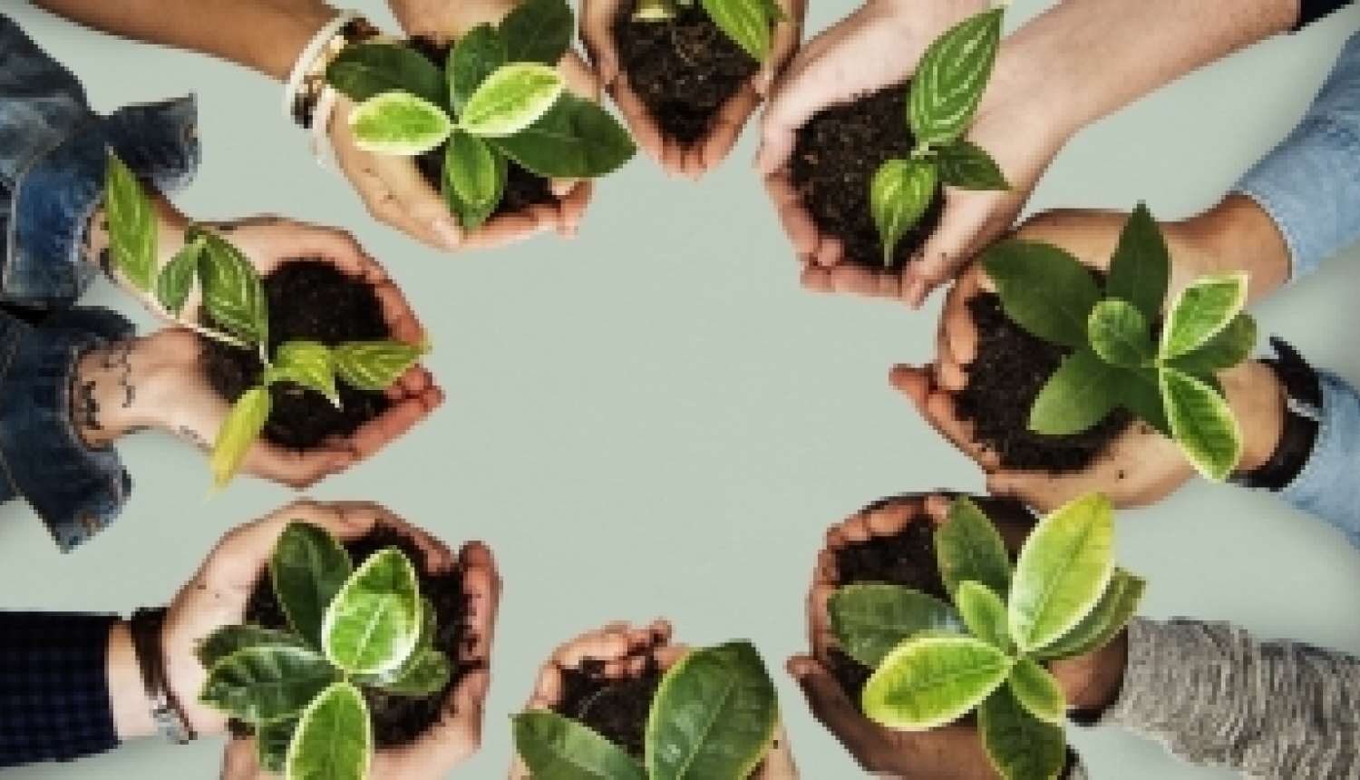 EK aicina paust viedokli par Eiropas Zaļā kursa projektu konkursa tematikām