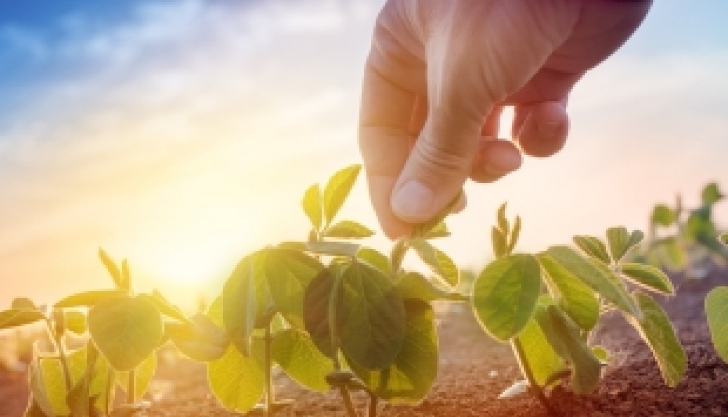 Briselē notiks Apvārsnis 2020 informācijas dienas par klimatu, vidi un resursiem