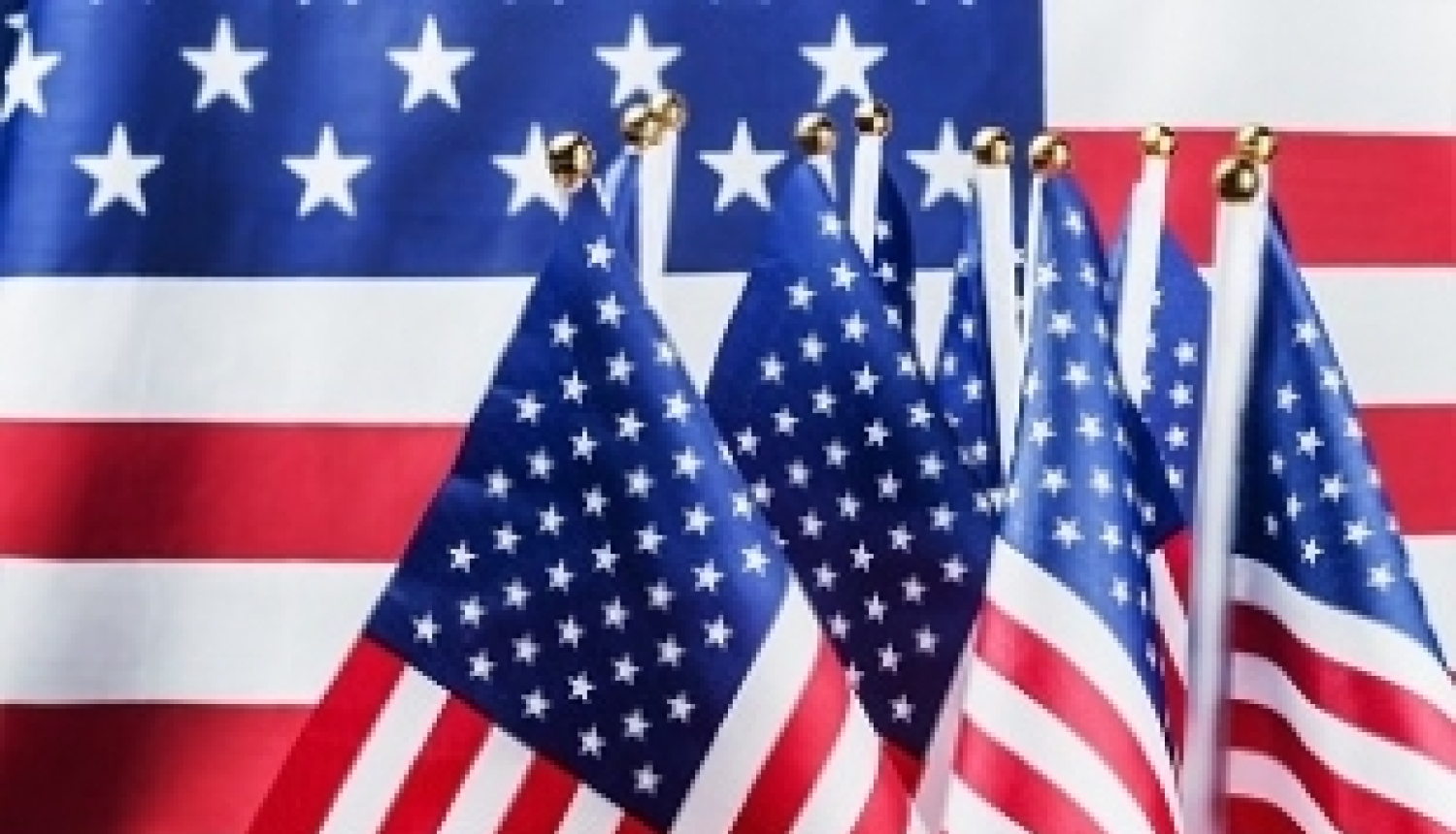 Institūcijas un eksperti var pieteikties BAFF finansējumam sadarbībai ar ASV