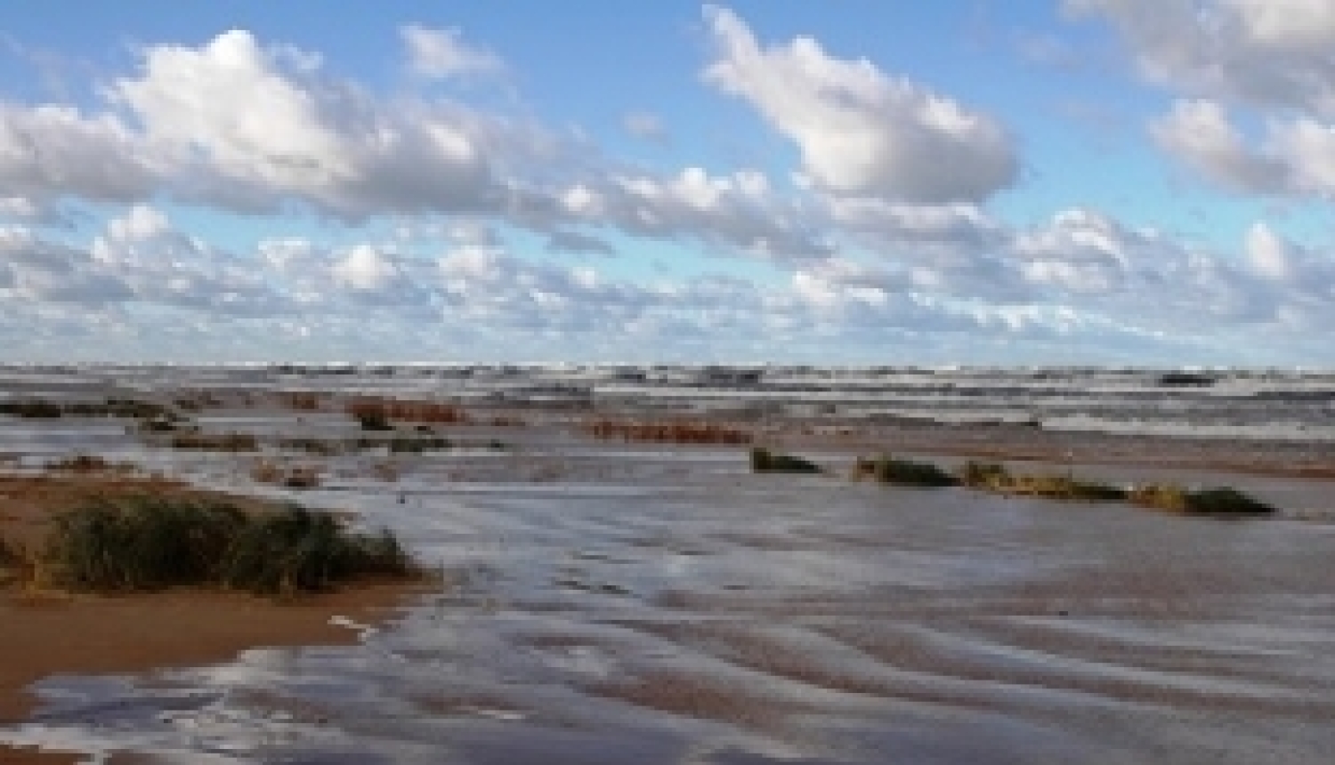 Notiks seminārs par projektu pieteikumu konkursu ”Blue Baltic”