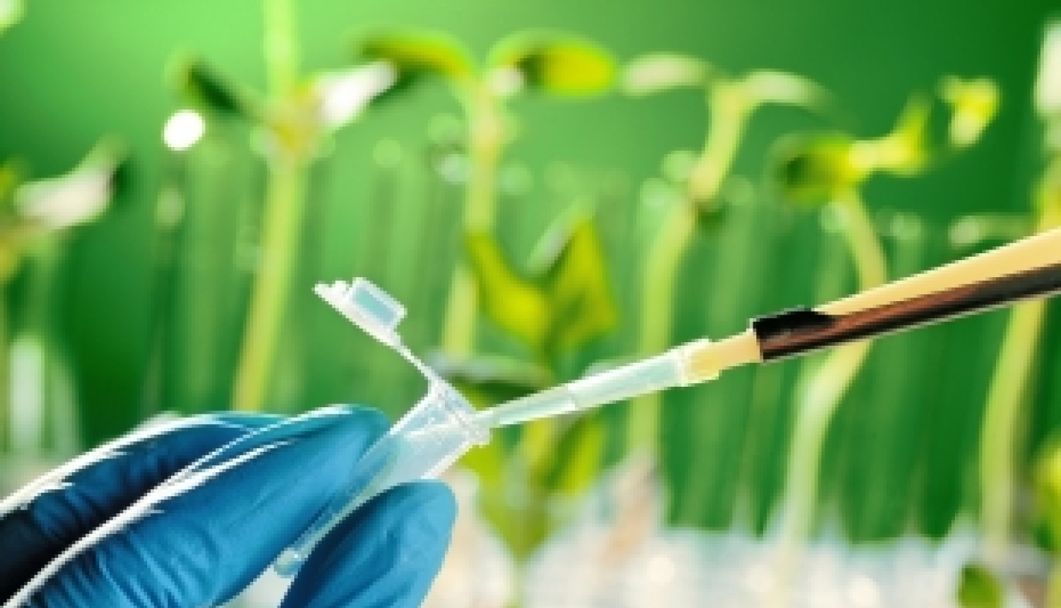 Izsludināts otrais ERA CoBioTech pētniecības projektu konkurss biotehnoloģijas jomā