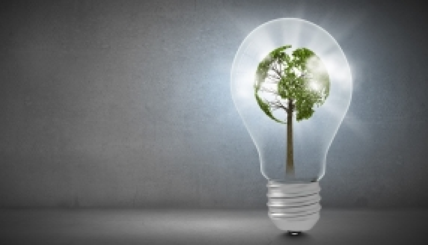 Oktobrī norisināsies Eiropas zaļā kursa projektu konkursam veltīta virtuālā kontaktbirža