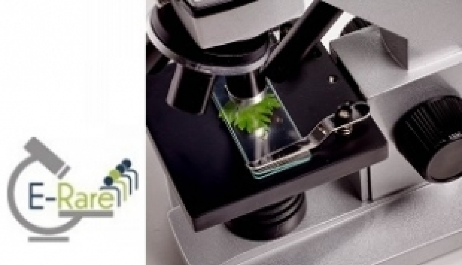 Izsludināts jaunais E-RARE-3 projektu konkurss