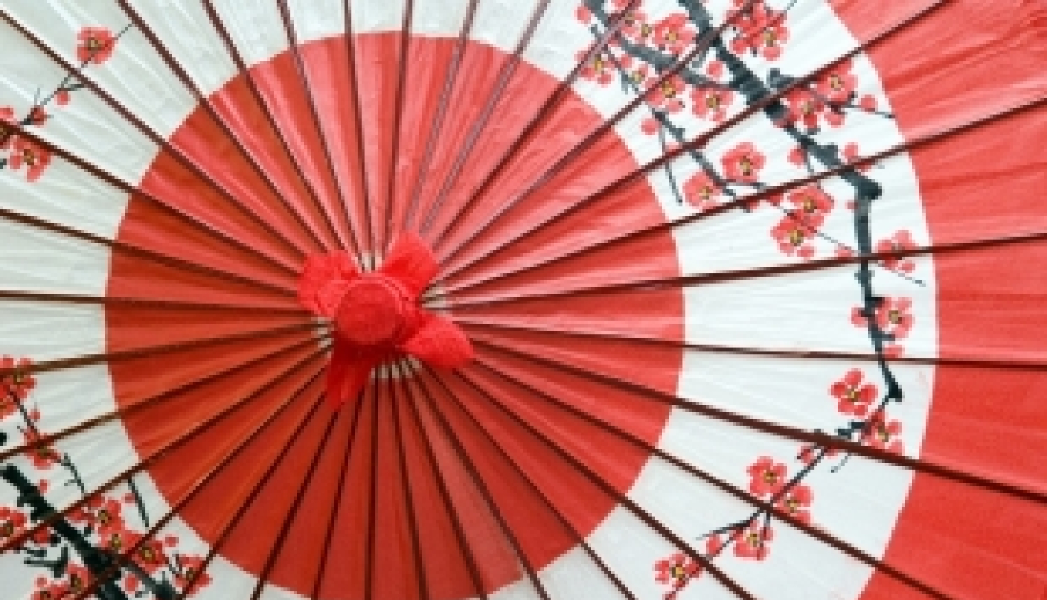 Izsludināts Japānas stipendijas 2018. gada konkurss vispārizglītojošo skolu pedagogiem