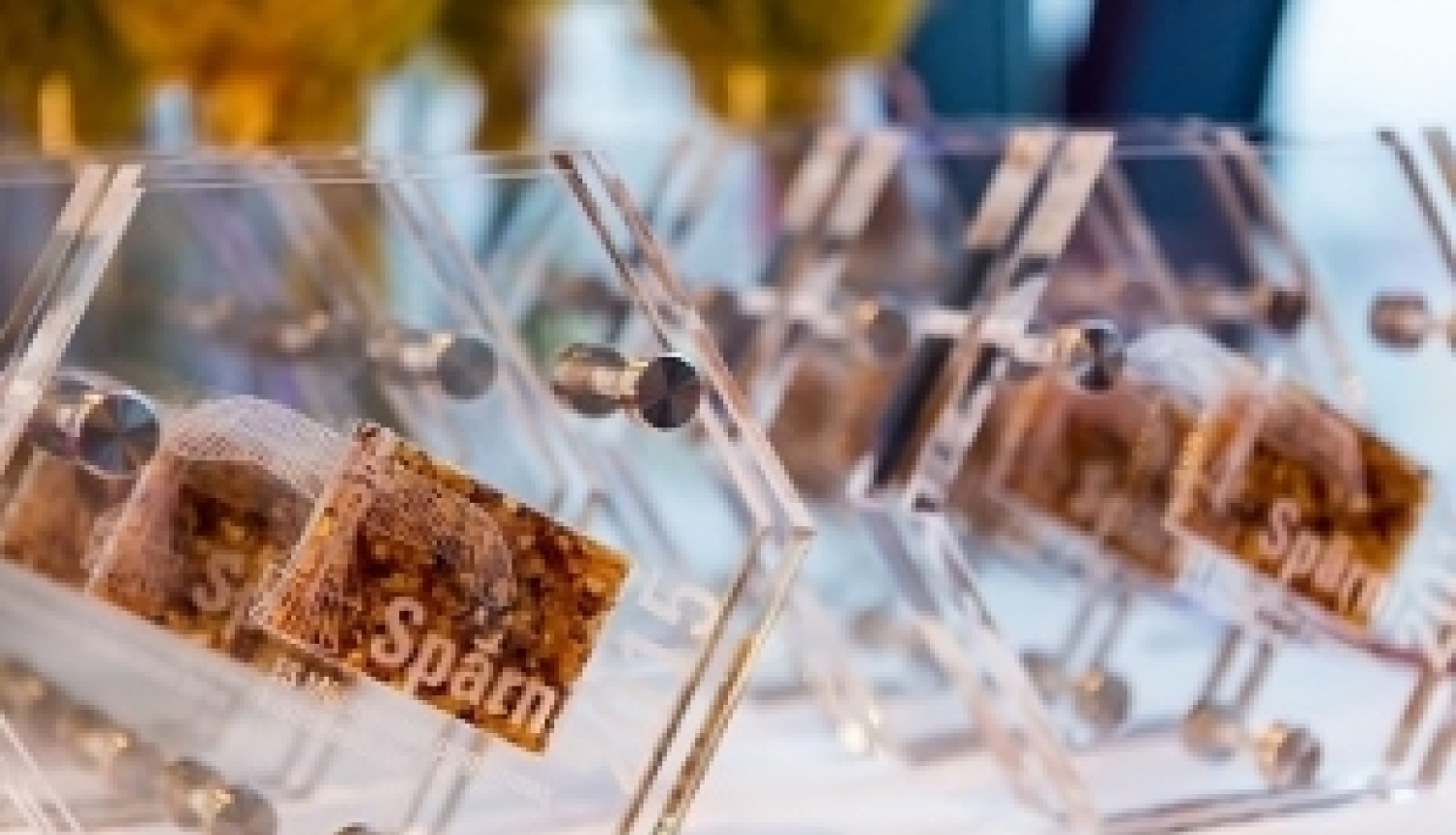 Pasniegtas ES Mūžizglītības programmas projektu kvalitātes balvas “Spārni 2015”