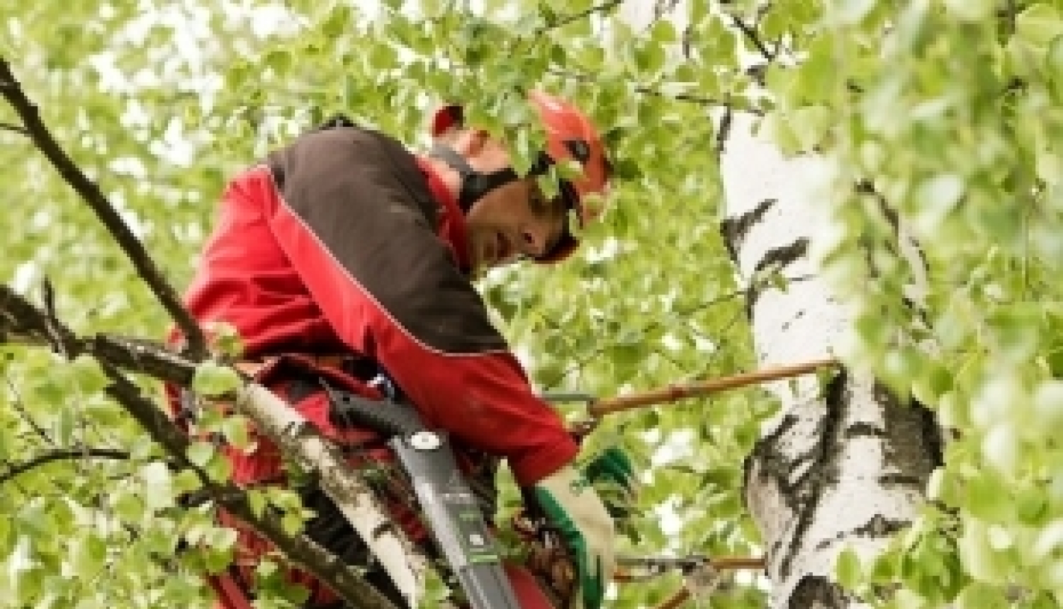 Pieredzes stāsts: atgriežas Latvijā un kopā ar dvīņubrāli iegūst profesiju
