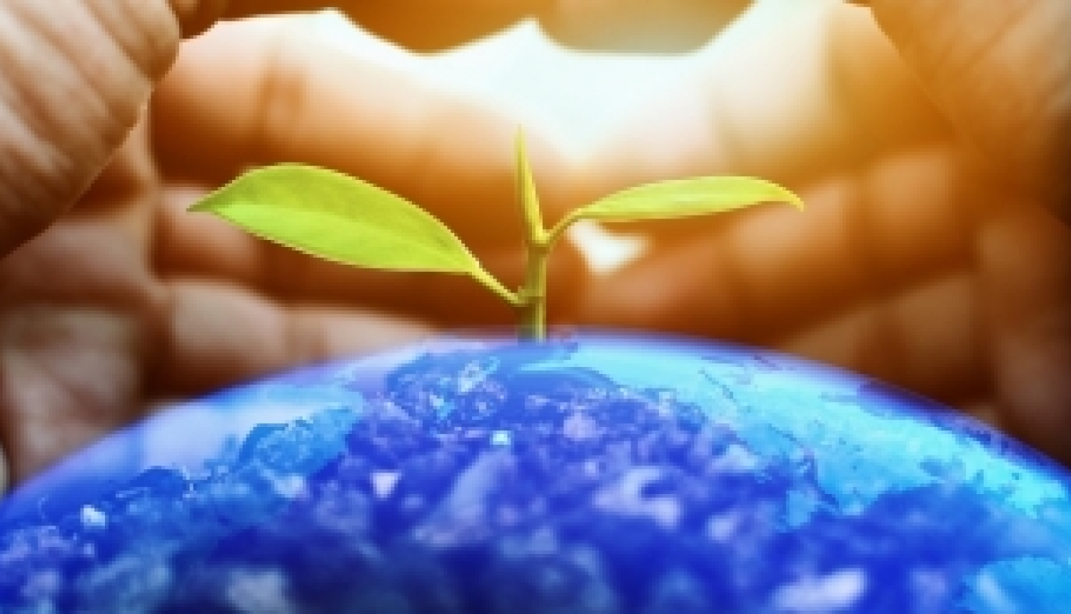 Briselē notiks ilgtspējīgai bioekonomikai veltīta konference