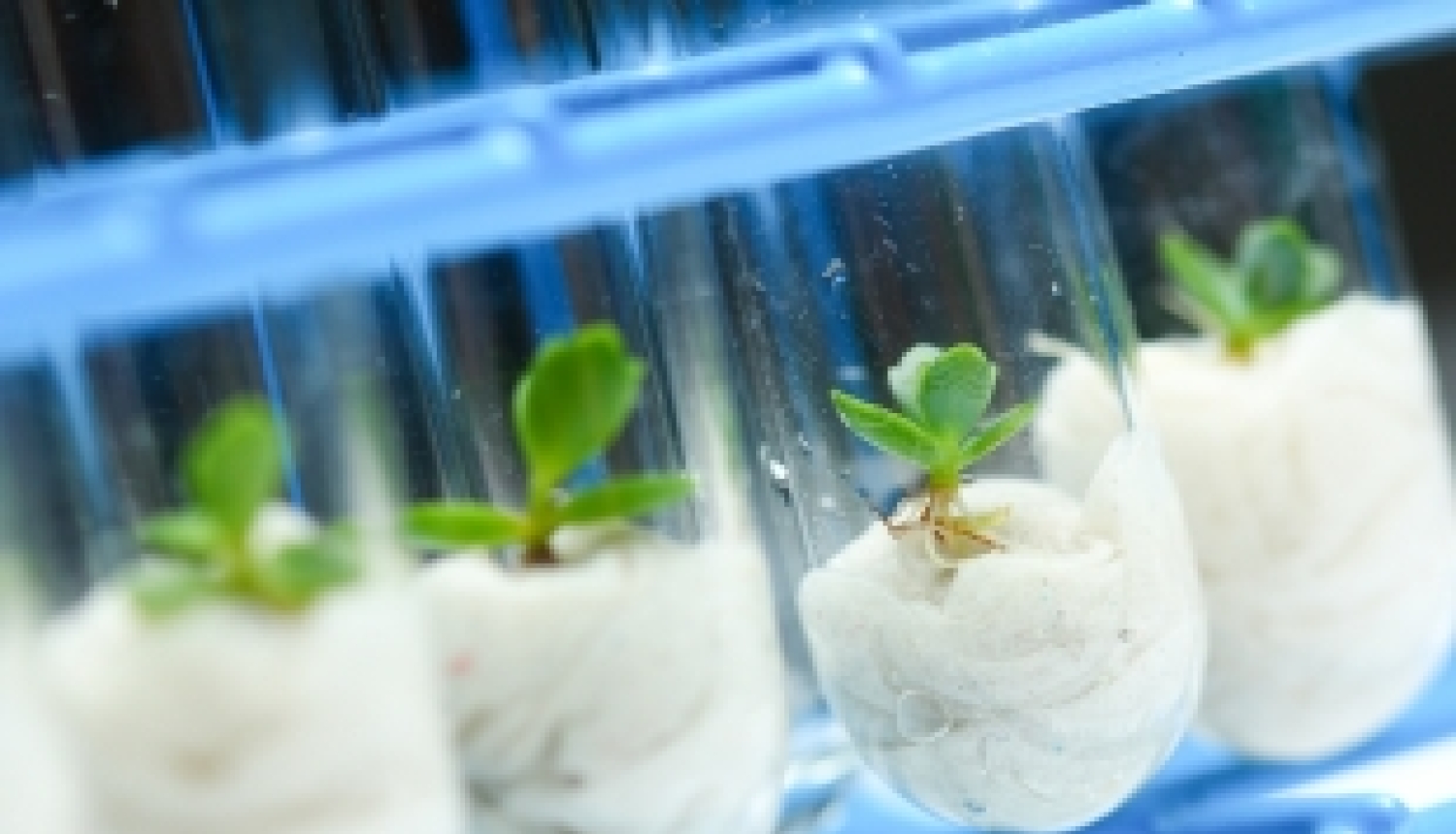 Horizon 2020 prioritātes „Pētniecības infrastruktūras” Informācijas diena par e-infrastruktūrām