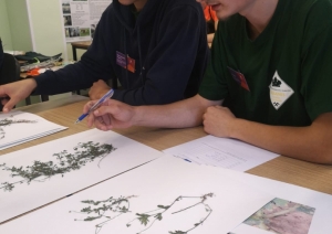 Nozares jauno profesionāļu meistarības konkursi "Lopkopība" un "Augkopība"