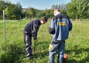 Nozares jauno profesionāļu meistarības konkursi "Augkopība" 2020