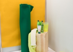 Fināla atlase skatlogu noformēšanā dalībai EuroSkills 2018